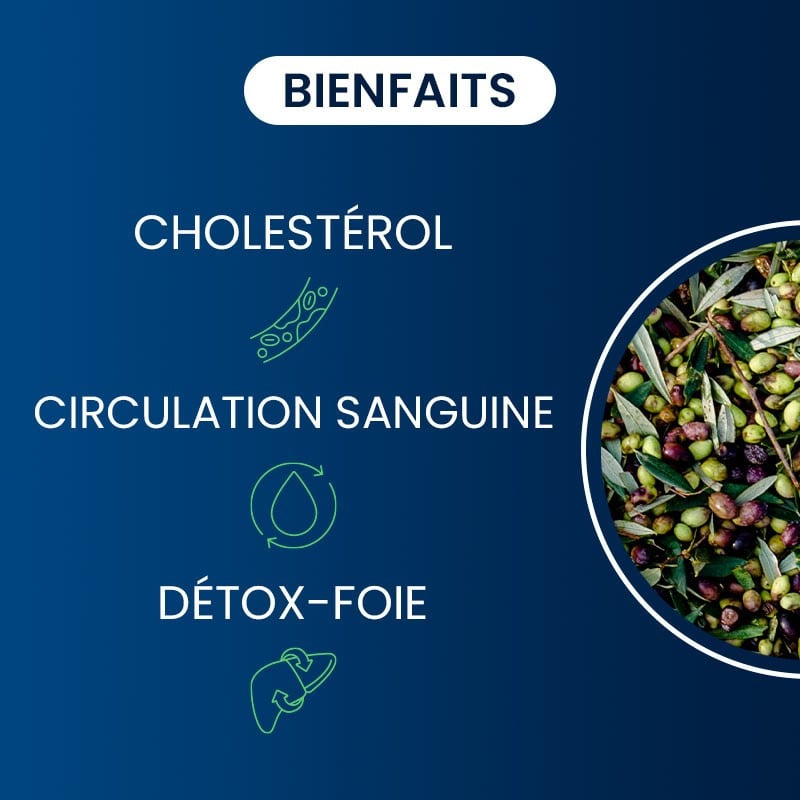 Bienfaits de l'Hydroxytyrosol extrait d'olive BIO