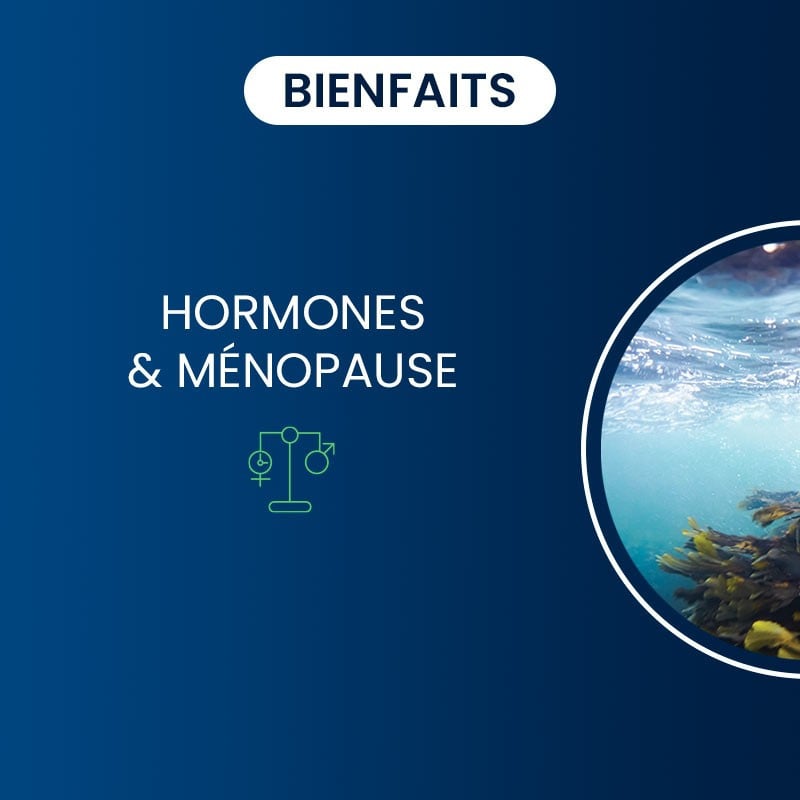 Bienfaits de l'Iode d'algue Kelp BIO