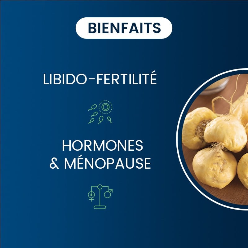 Bienfaits de la Maca BIO du Pérou