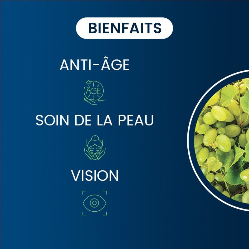 Bienfaits de l'extrait de pepins de raisin
