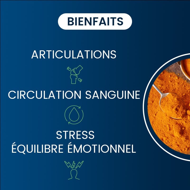 Bienfaits du Curcuma Bio Optimisé en poudre