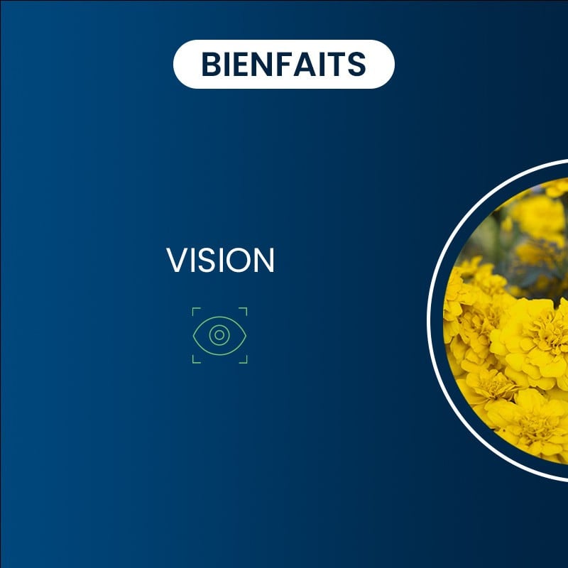 Bienfaits lutéine & zéaxanthine