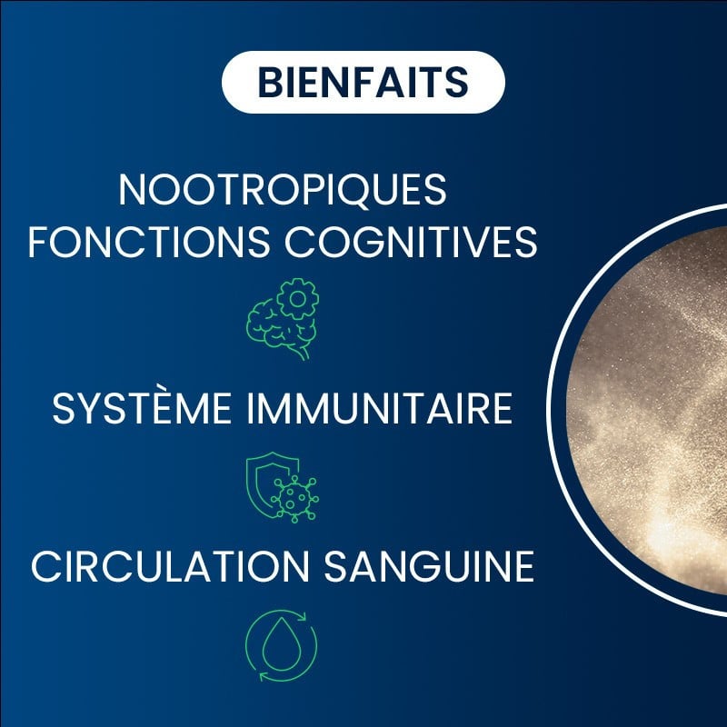 Vitamine B12 bienfaits