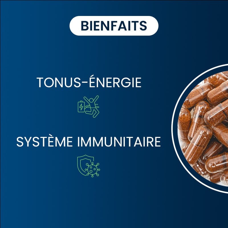 Les bienfaits de notre multivitamines