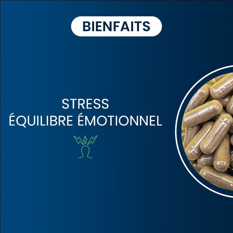 Les bienfaits de notre Stress 8