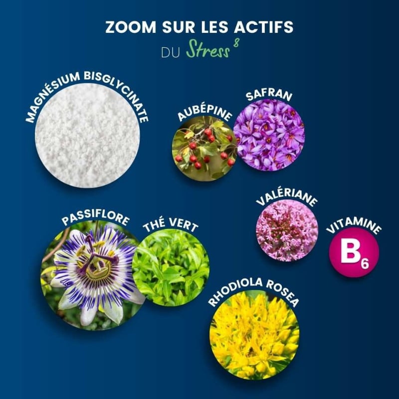 Les actifs de notre Stress 8