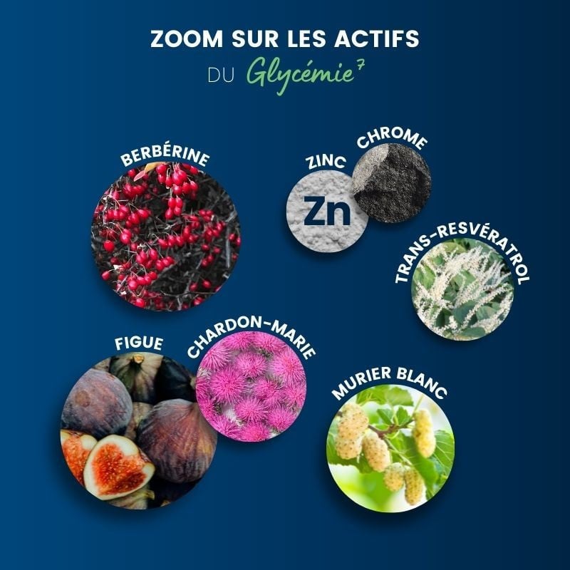 Les actifs de notre Glycémie 7