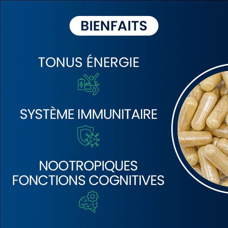 Les bienfaits de notre complexe vitamines B
