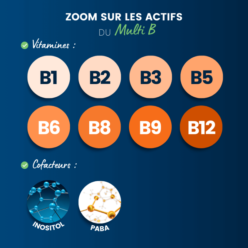 Les actifs de notre complexe vitamines B