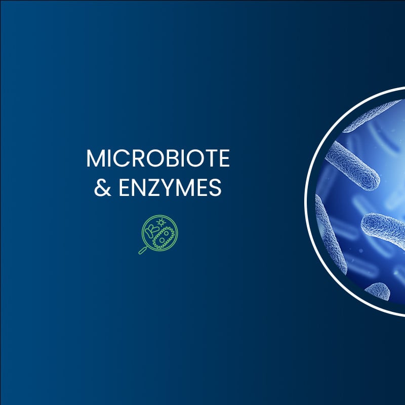 Bienfaits de notre complexe Probiotiques