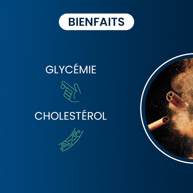 Bienfaits cannelle de ceylan bio