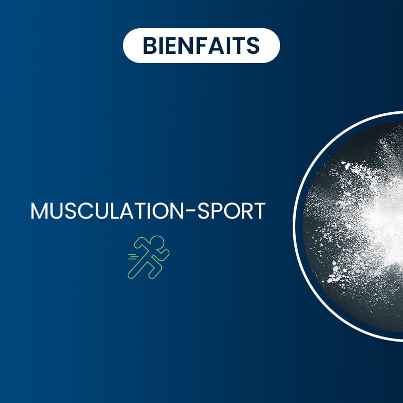 Bienfaits carnosine