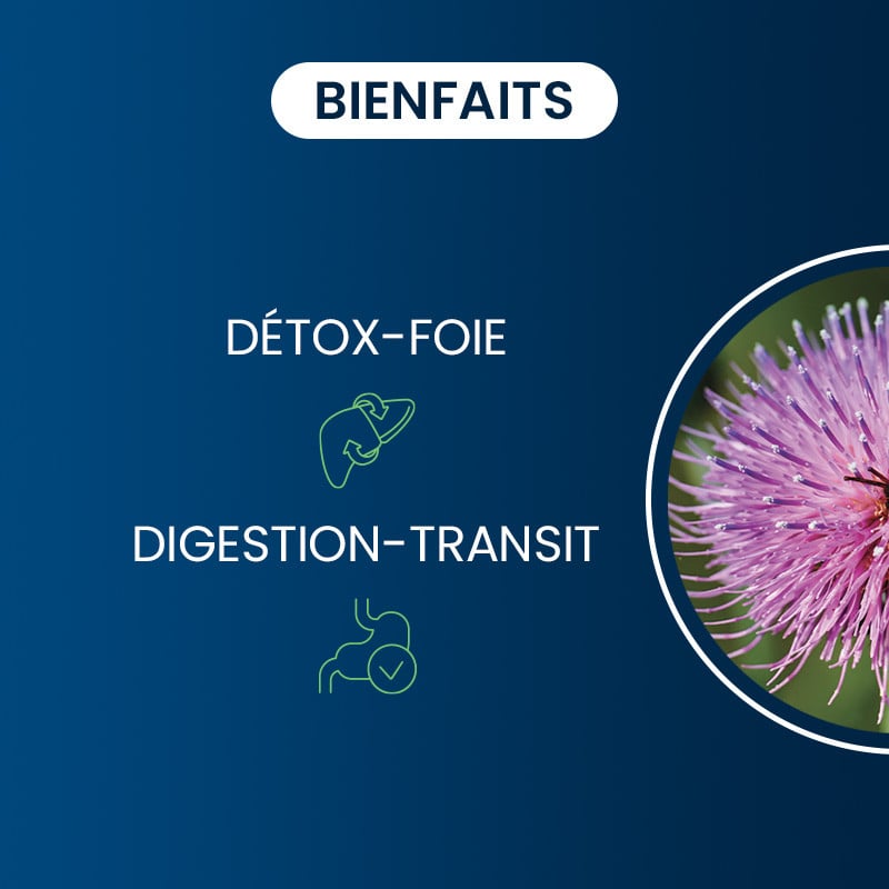 Bienfaits du Chardon-Marie BIO