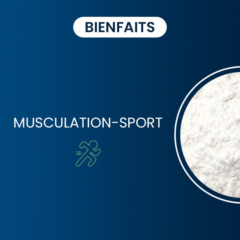 Bienfaits de la chondroïtine Sulfate Vegan