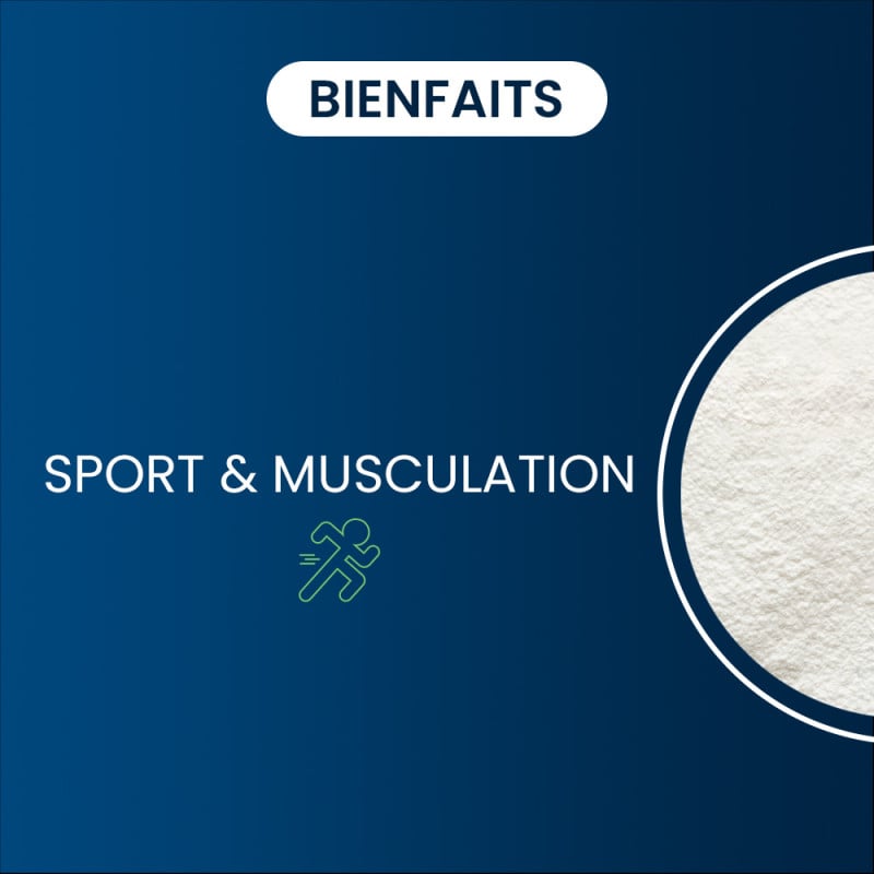 Bienfaits du BCAA 2.1.1