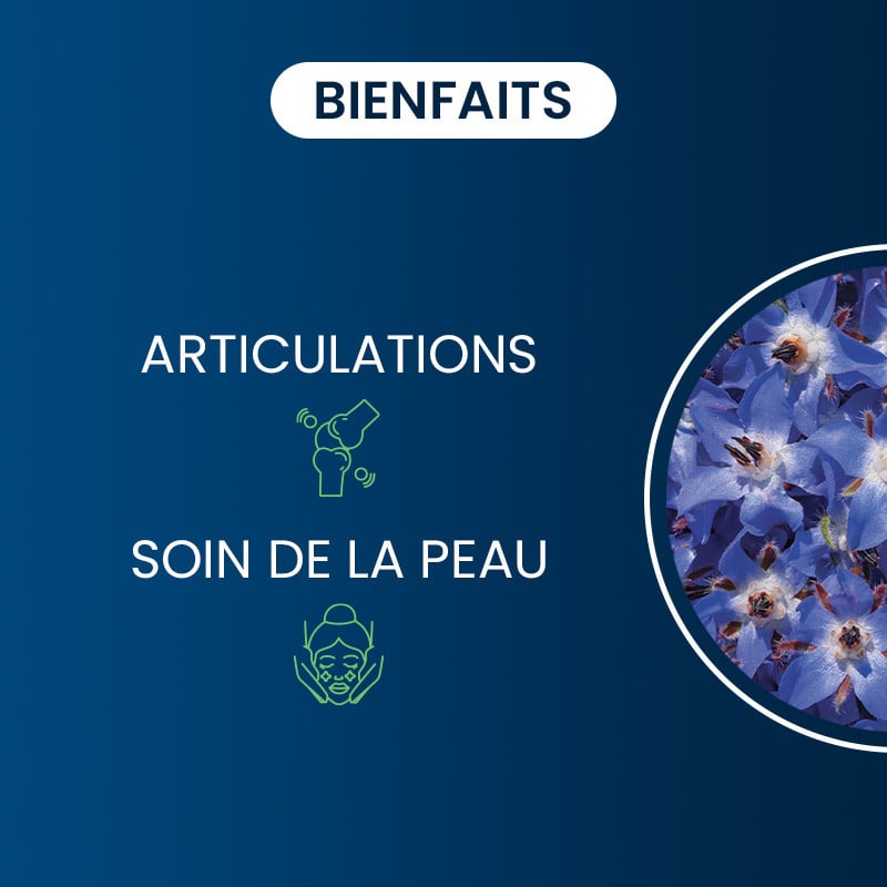 Bienfaits de l'Huile de bourrache BIO