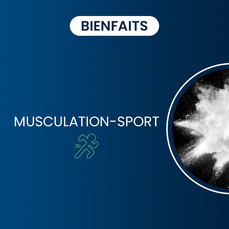 Bienfaits de la L-Carnitine (L-tartrate)