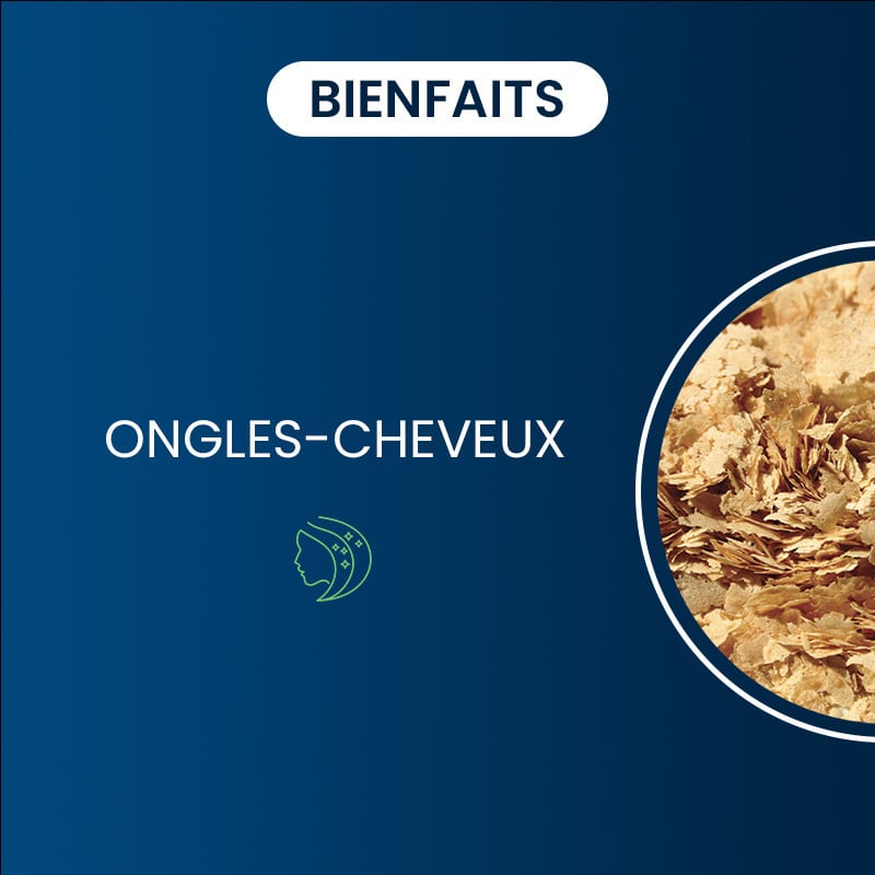 Levure de biere bioactive bienfaits