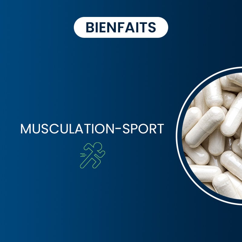 l-glutamine naturelle bienfaits