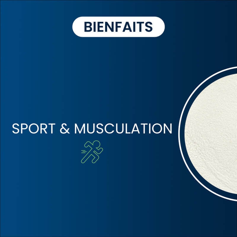 Bienfaits Whey Native Isolate