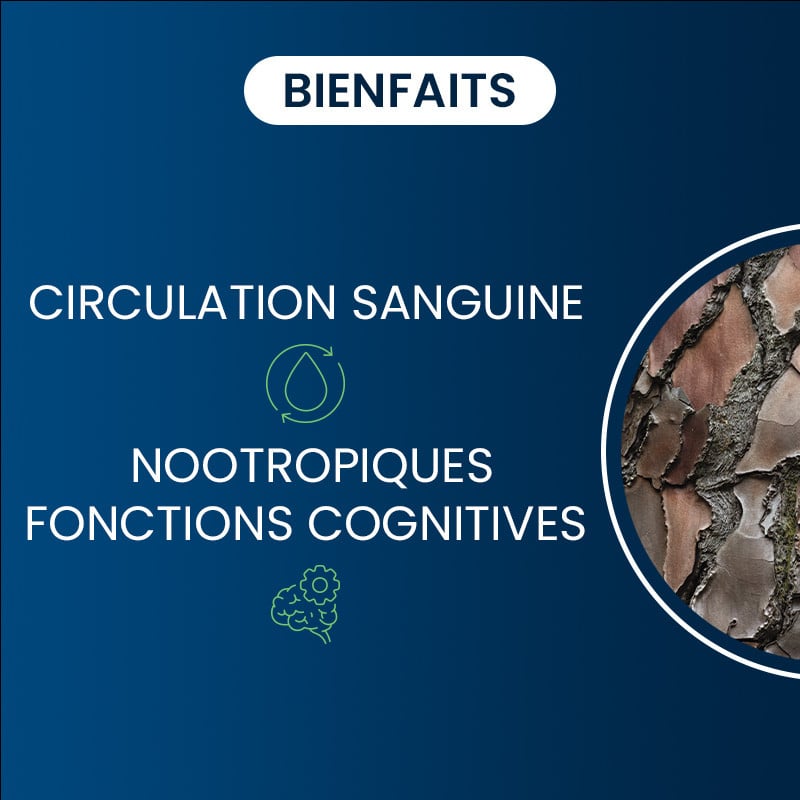 Bienfaits du pycnogenol