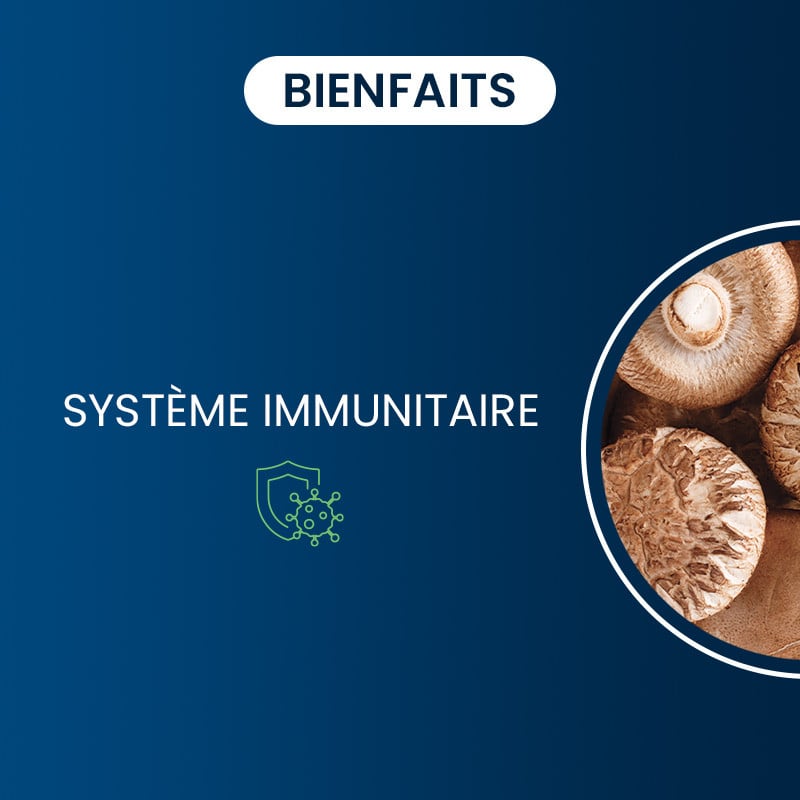 Bienfaits du shiitaké bio