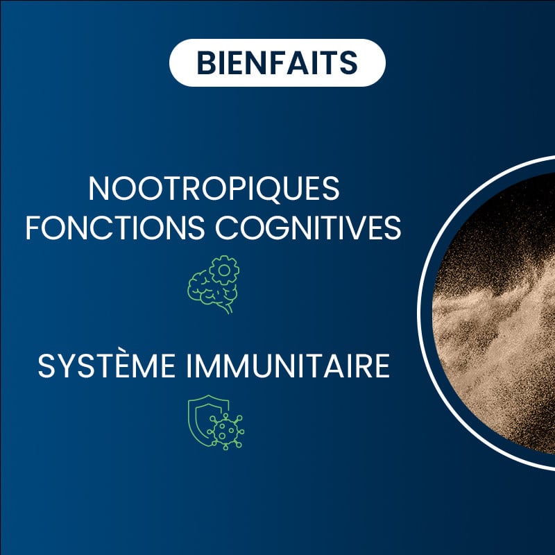 Vitamine B9 Quatrefolic bienfaits