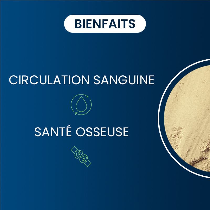 Vitamine K2 MK-7 bienfaits