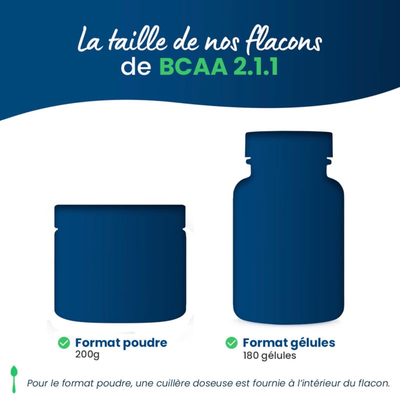 BCAA 2.1.1 pilulier