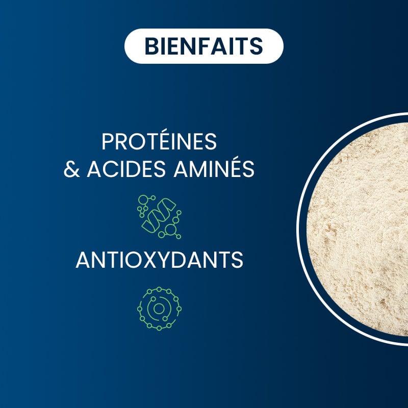 bienfaits du sodium r-lipoate