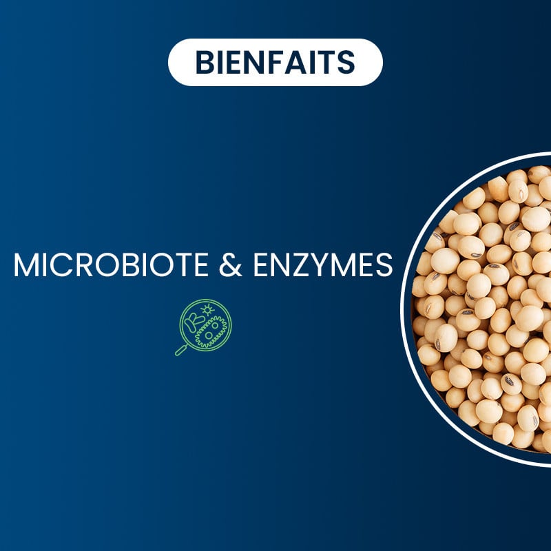 Bienfaits de notre Nattokinase