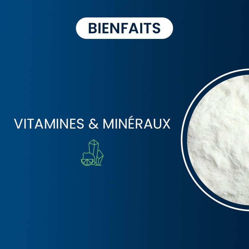 Bienfaits de la Lactoferrine bio-active