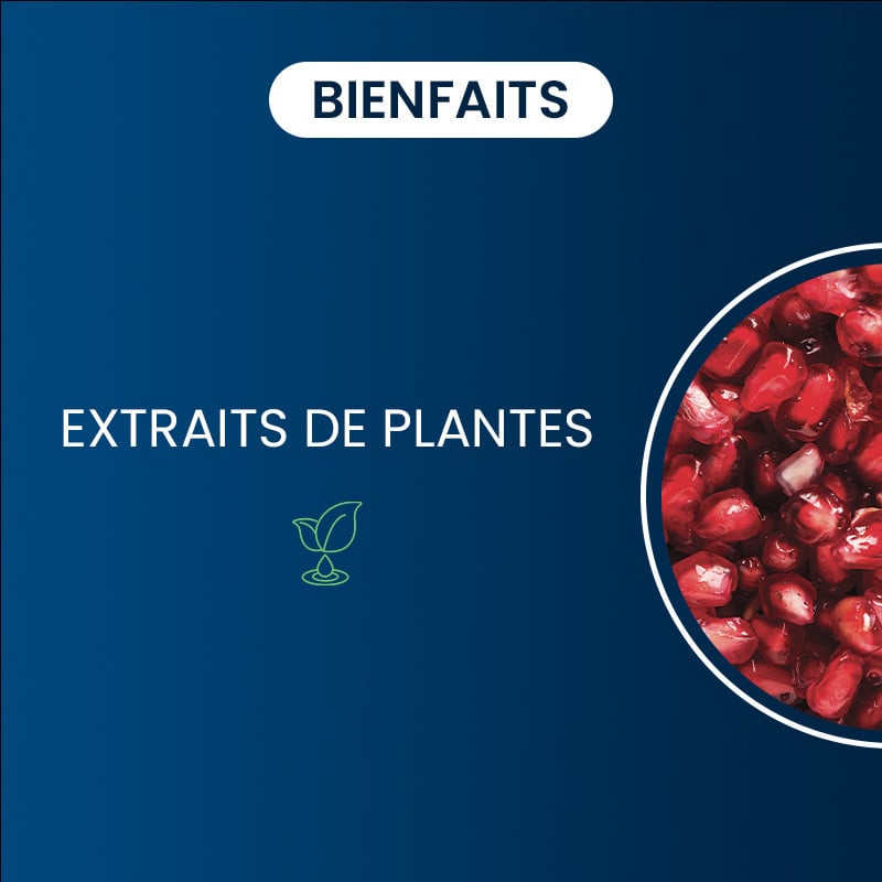 Bienfaits de la Grenade BIO