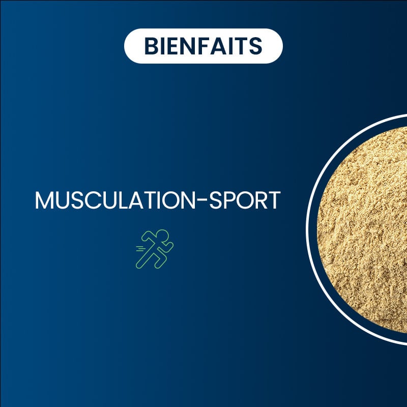 Bienfaits de la Glucosamine & Chondroïtine