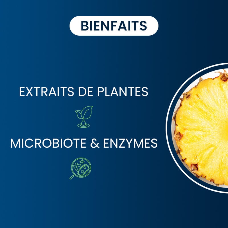 Bienfaits Bromélaïne