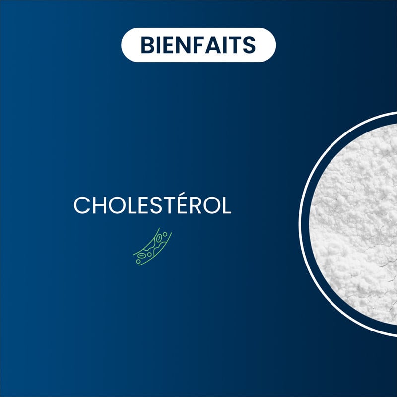 Bienfaits Citicoline Cognizin®