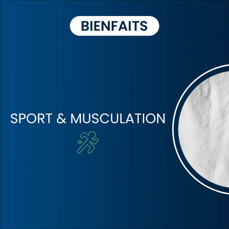 Créatine monohydrate Creapure® bienfaits
