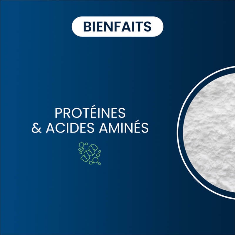 Bienfaits l-lysine
