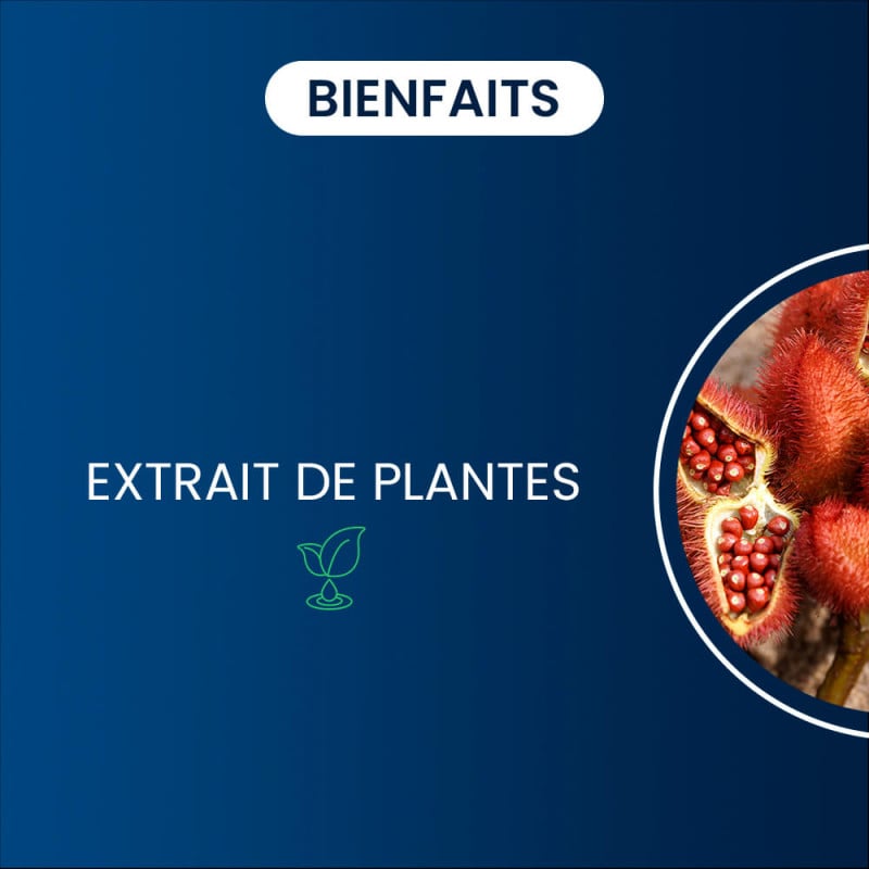 Urucum Bio bienfaits