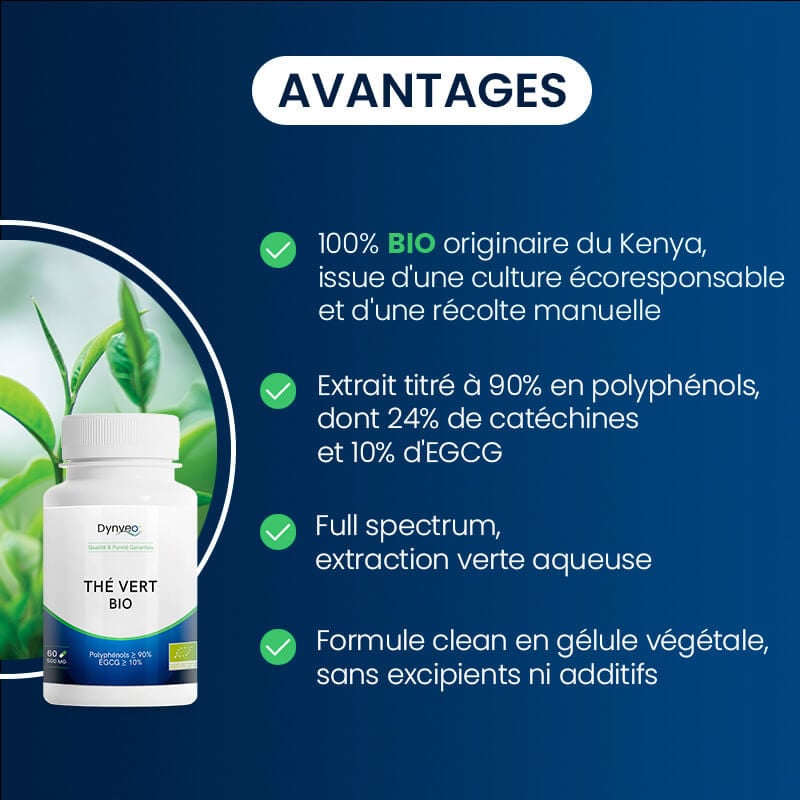avantages du thé vert bio