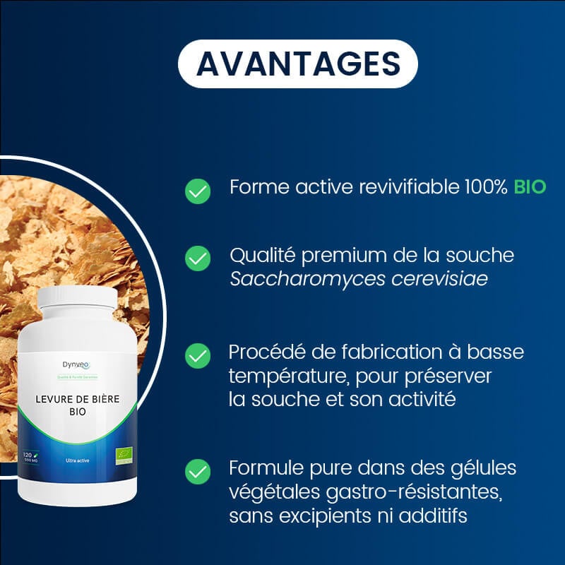 Levure de biere bioactive avantages