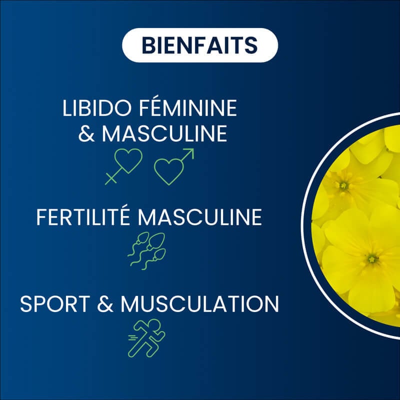 bienfaits du tribulus terrestris bio