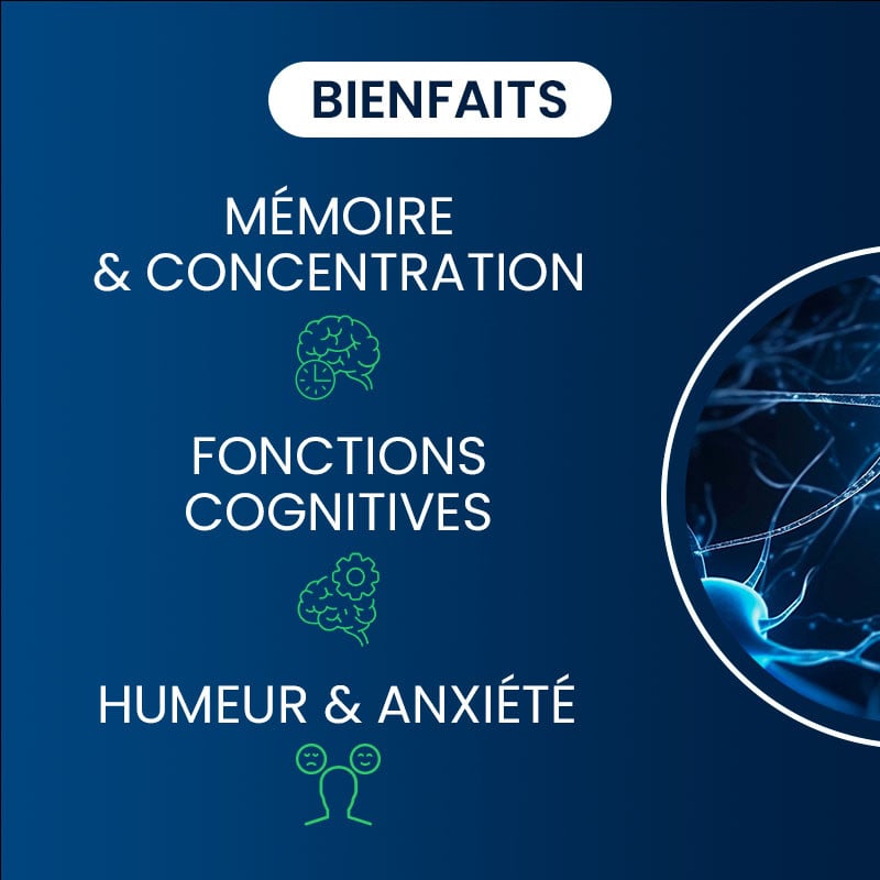 Bienfaits magnésium L-thréonate : Magtein®