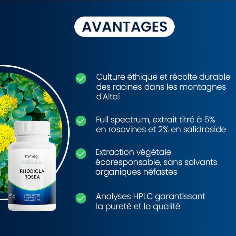avantages de la rhodiola rosea