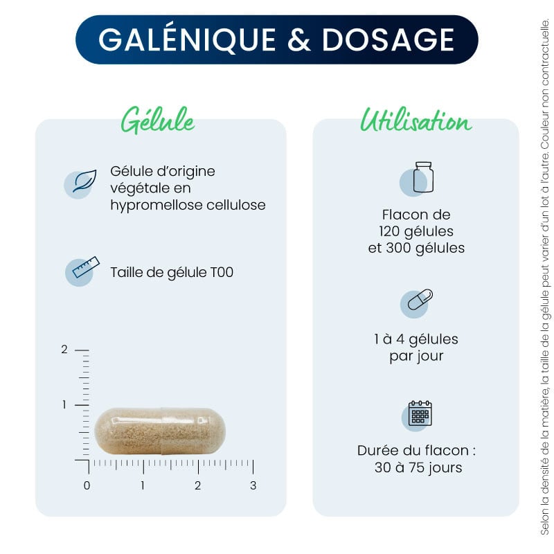 taille gélule Tribulus terrestris BIO