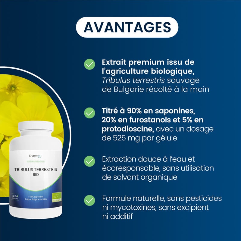 avantages du tribulus terrestris bio