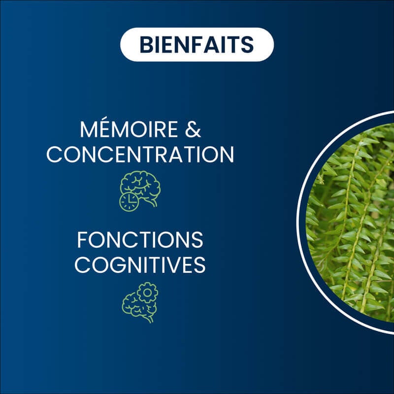 Huperzine A bienfaits