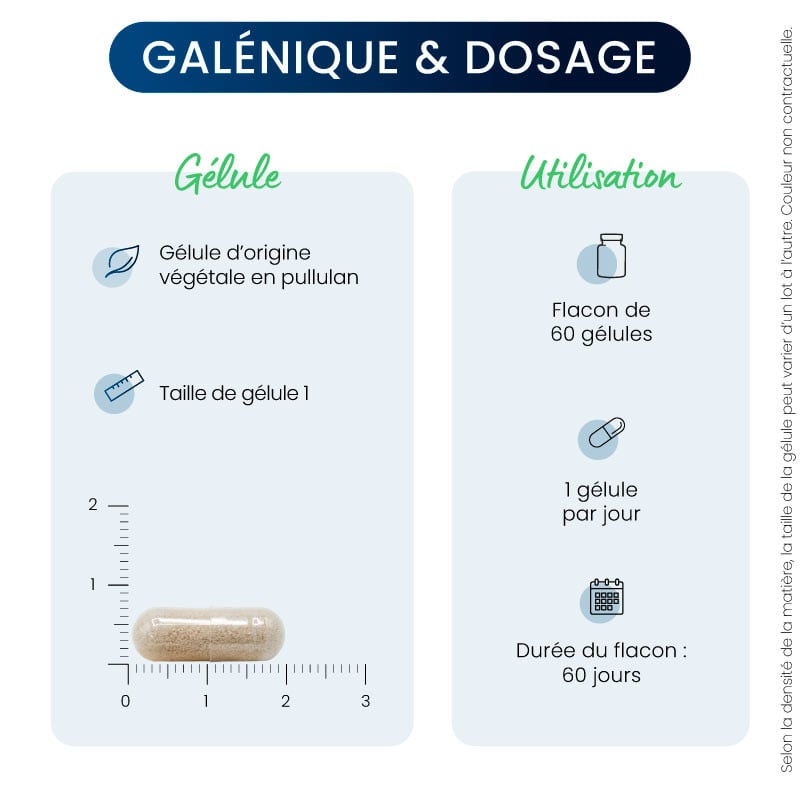 Huperzine A galénique