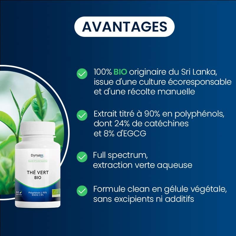 avantages du thé vert bio
