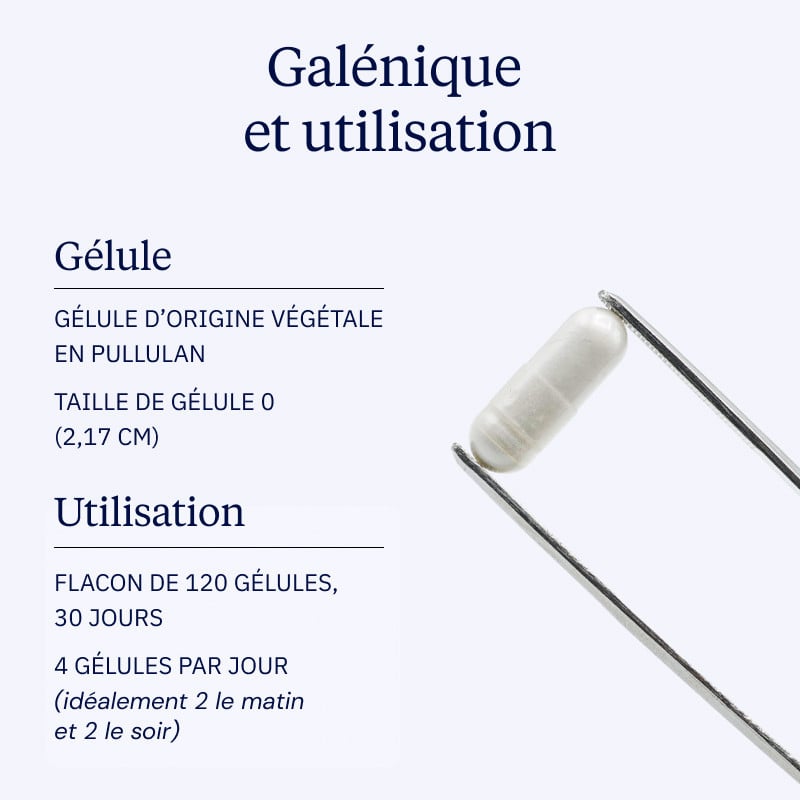 Galénique Complexe Magnésium 360